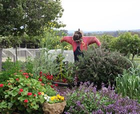 Samaria Farm - Tourism Adelaide 4