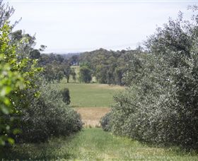 Samaria Farm - Tourism Adelaide 7