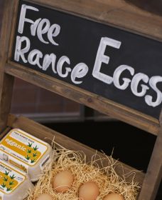 A Slice Of Orange - Tourism Adelaide 1