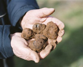 A Slice Of Orange - Tourism Adelaide 0