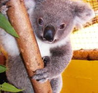 Cooberrie Park Wildlife Sanctuary - Tourism Adelaide