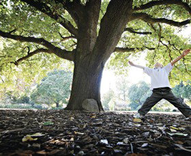 Albury Botanic Gardens - Tourism Adelaide 1