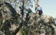Mount Samaria State Park - thumb 0