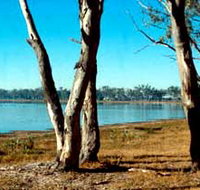 Lake Broadwater Conservation Park - Tourism Adelaide