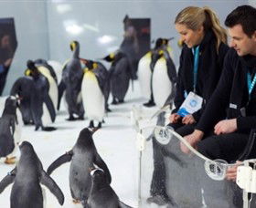 SEA LIFE Melbourne Aquarium - Tourism Adelaide 2