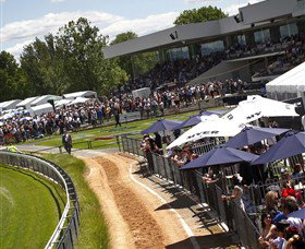 Thoroughbred Park Canberra Racing Club - Horse Racing In The Nations Capital - Tourism Adelaide 1