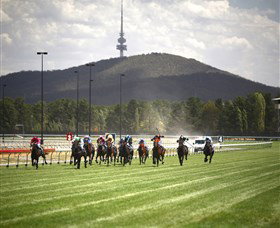 Thoroughbred Park Canberra Racing Club - Horse Racing In The Nations Capital - Tourism Adelaide 3