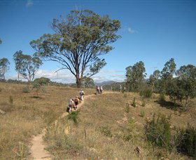 Kambah Pool To Pine Island - Tourism Adelaide 1