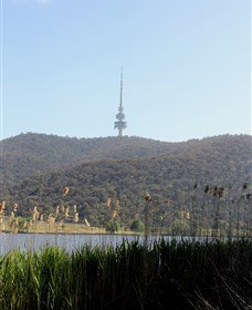 Black Mountain Peninsula - Tourism Adelaide 0