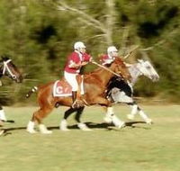 Morgan Park Warwick - Tourism Adelaide