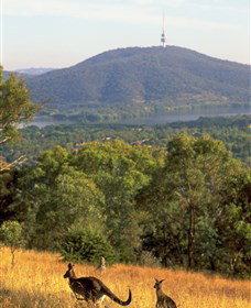 Canberra Centenary Trail - Tourism Adelaide 0