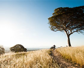 Canberra Centenary Trail - Tourism Adelaide 1