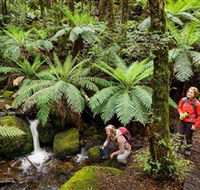 Baw Baw National Park - Tourism Adelaide
