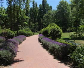 Glebe Park - Tourism Adelaide 1