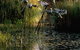 Commonwealth Park - thumb 3