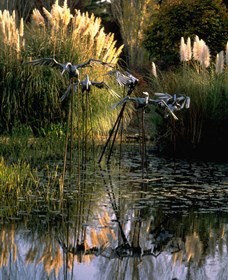 Commonwealth Park - Tourism Adelaide 3