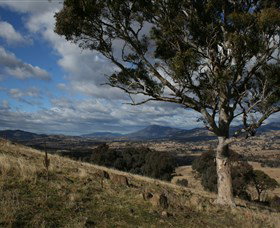 Brooweena ACT Tourism Adelaide