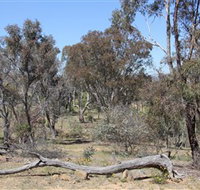 Remembrance Nature Park - Tourism Adelaide