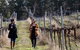 Mount Majura Vineyard - thumb 0