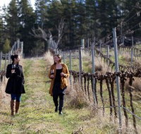 Mount Majura Vineyard - Tourism Adelaide
