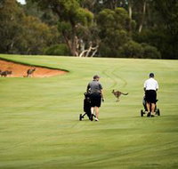 Federal Golf Club - Tourism Adelaide