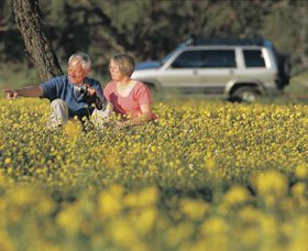Coalseam Conservation Park - Tourism Adelaide 0