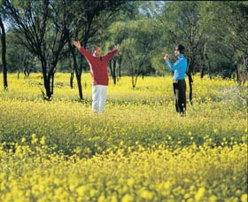 Coalseam Conservation Park - Tourism Adelaide 2