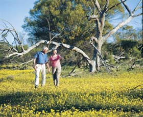Coalseam Conservation Park - Tourism Adelaide 3
