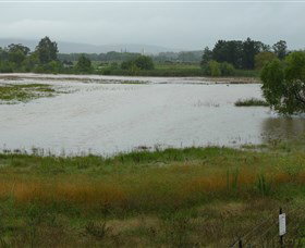 Jerrabomberra Wetlands - Tourism Adelaide 1