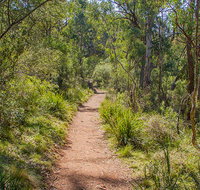 Mares Forest Creek walking track - Tourism Adelaide