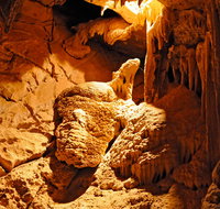 Fig Tree Cave - Tourism Adelaide