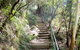 Nature Track - thumb 0