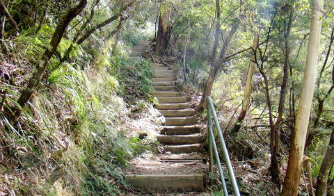 Nature Track - Tourism Adelaide 0