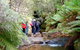 Nature Track - thumb 1