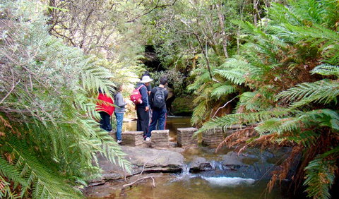 Nature Track - Tourism Adelaide 1
