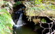 Nature Track - thumb 2