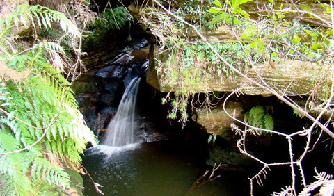 Nature Track - Tourism Adelaide 2