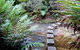 Nature Track - thumb 3