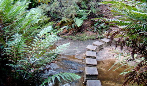 Nature Track - Tourism Adelaide 3