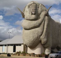 Big Merino - Tourism Adelaide