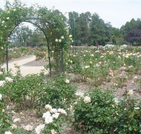 Victoria Park Rose Garden - Tourism Adelaide