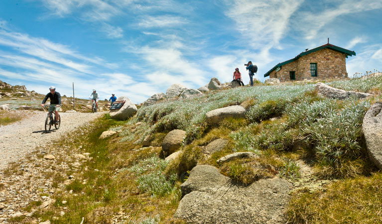 Kosciuszko National Park NSW Tourism Adelaide