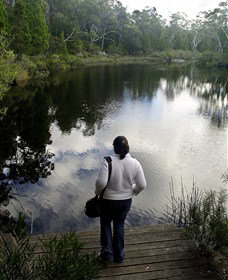 Boonoo Boonoo Falls National Park - Tourism Adelaide 1