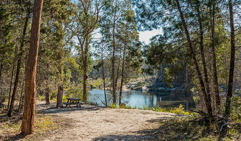River Walk - Tourism Adelaide 1