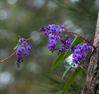 Mann River Nature Reserve - Tourism Adelaide