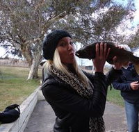 Eucumbene Trout Farm - Tourism Adelaide