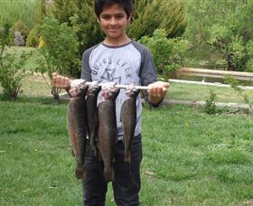 Eucumbene Trout Farm - Tourism Adelaide 3