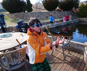 Eucumbene Trout Farm - Tourism Adelaide 2