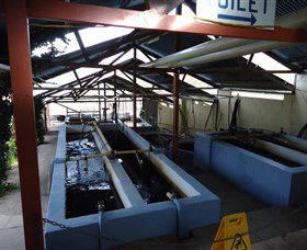 Eucumbene Trout Farm - Tourism Adelaide 5