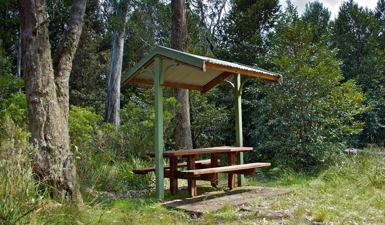Wards River NSW Tourism Adelaide